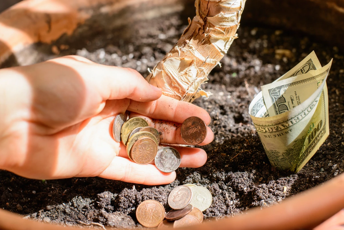 Investissements Immobiliers Rentables pour Petits Budgets : Guide Complet